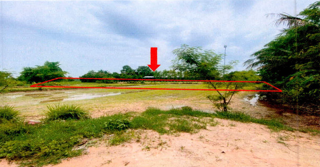 ขายทอดตลาด ที่ดินว่างเปล่า ต.บึงบอน อ.ยางชุมน้อย จ.ศรีสะเกษ