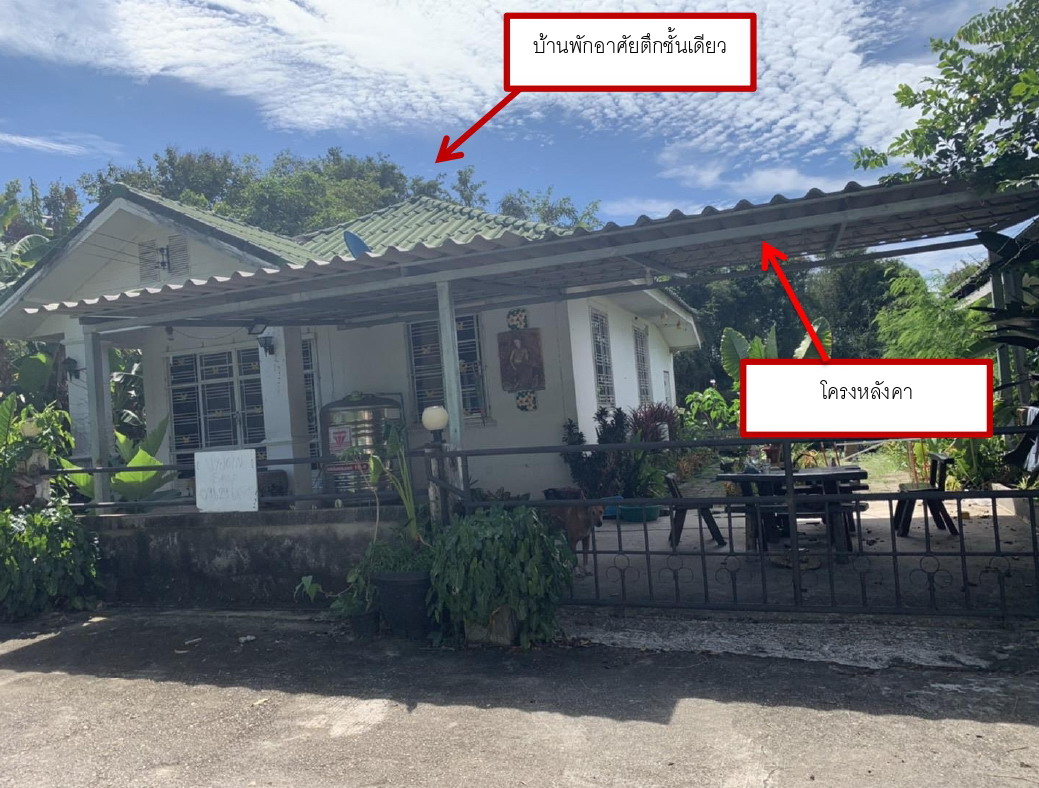 ขายทอดตลาด ที่ดินพร้อมสิ่งปลูกสร้าง ต.เพ อ.เมืองระยอง จ.ระยอง