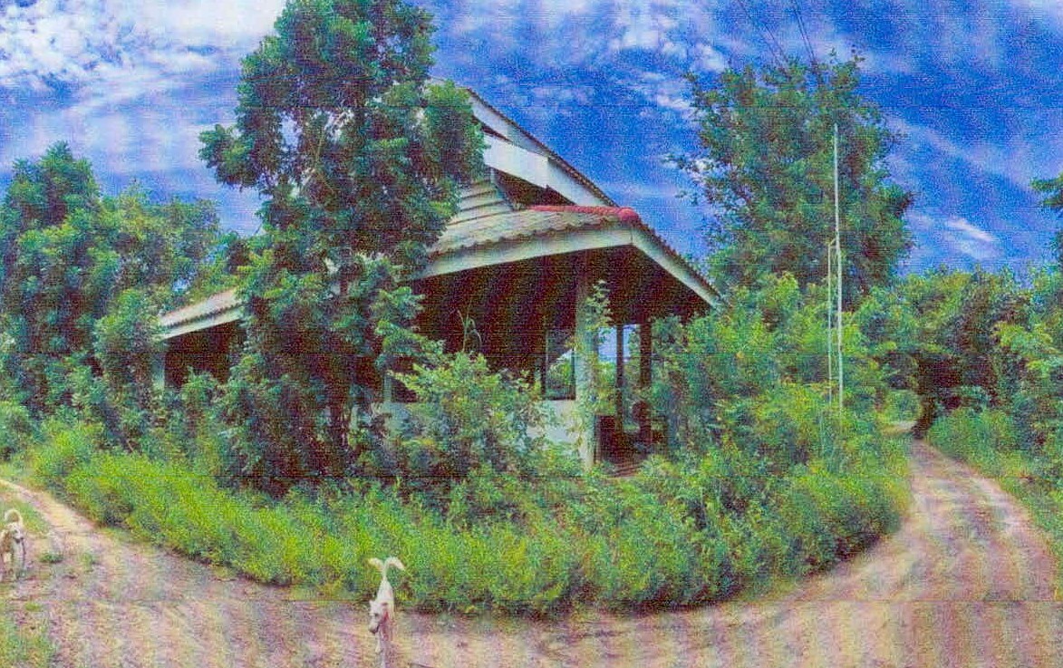 ขายทอดตลาด ที่ดินพร้อมสิ่งปลูกสร้าง ต.สำโรง อ.อุทุมพรพิสัย จ.ศรีสะเกษ