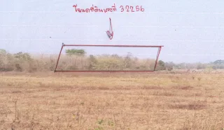 รูปทรัพย์ 2