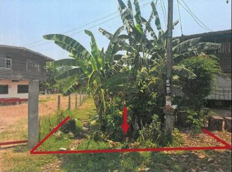 ขายทอดตลาด ที่ดินว่างเปล่า ต.หลุบ อ.เมืองกาฬสินธุ์ จ.กาฬสินธุ์
