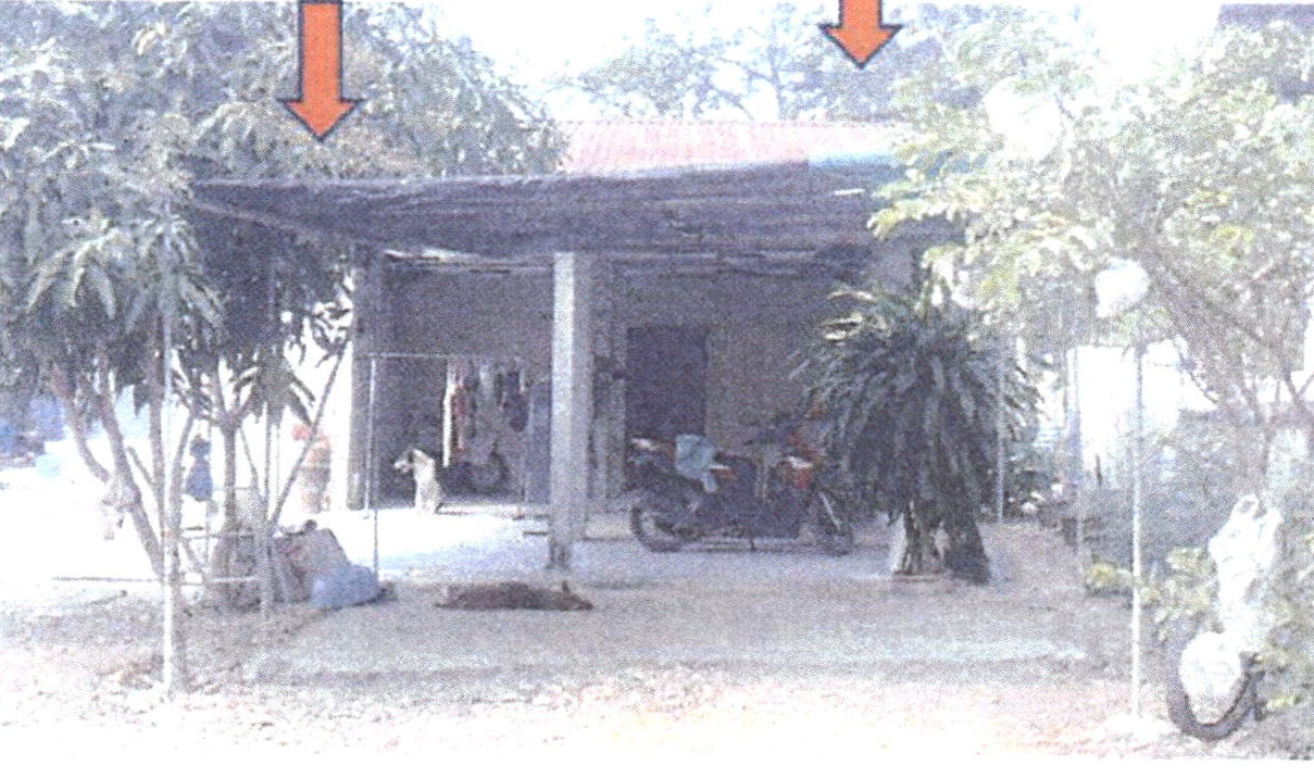 ขายทอดตลาด ที่ดินพร้อมสิ่งปลูกสร้าง ต.วังขอนขว้าง อ.โคกสำโรง จ.ลพบุรี
