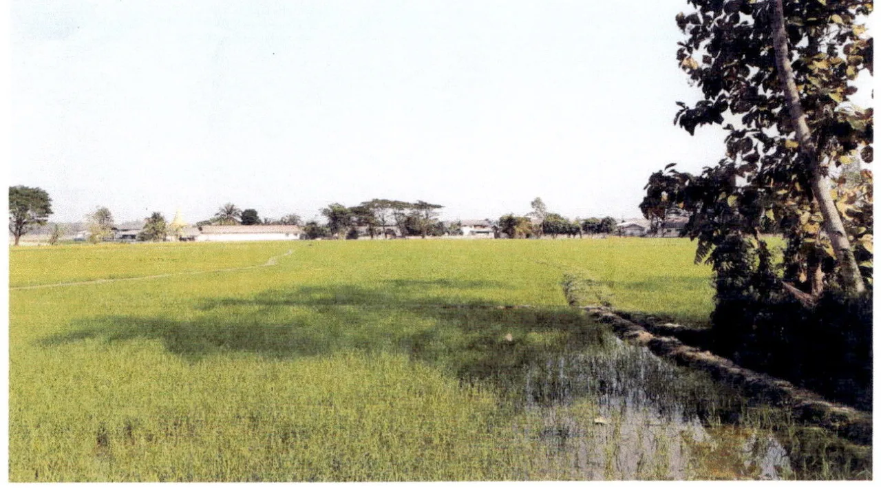 ขายทอดตลาด ที่ดินว่างเปล่า ต.เมืองยาว อ.ห้างฉัตร จ.ลำปาง