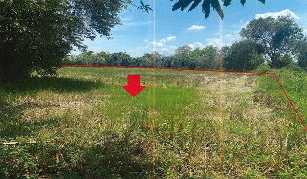 ขายทอดตลาด ที่ดินว่างเปล่า ต.เหล่าอ้อย อ.ร่องคำ จ.กาฬสินธุ์