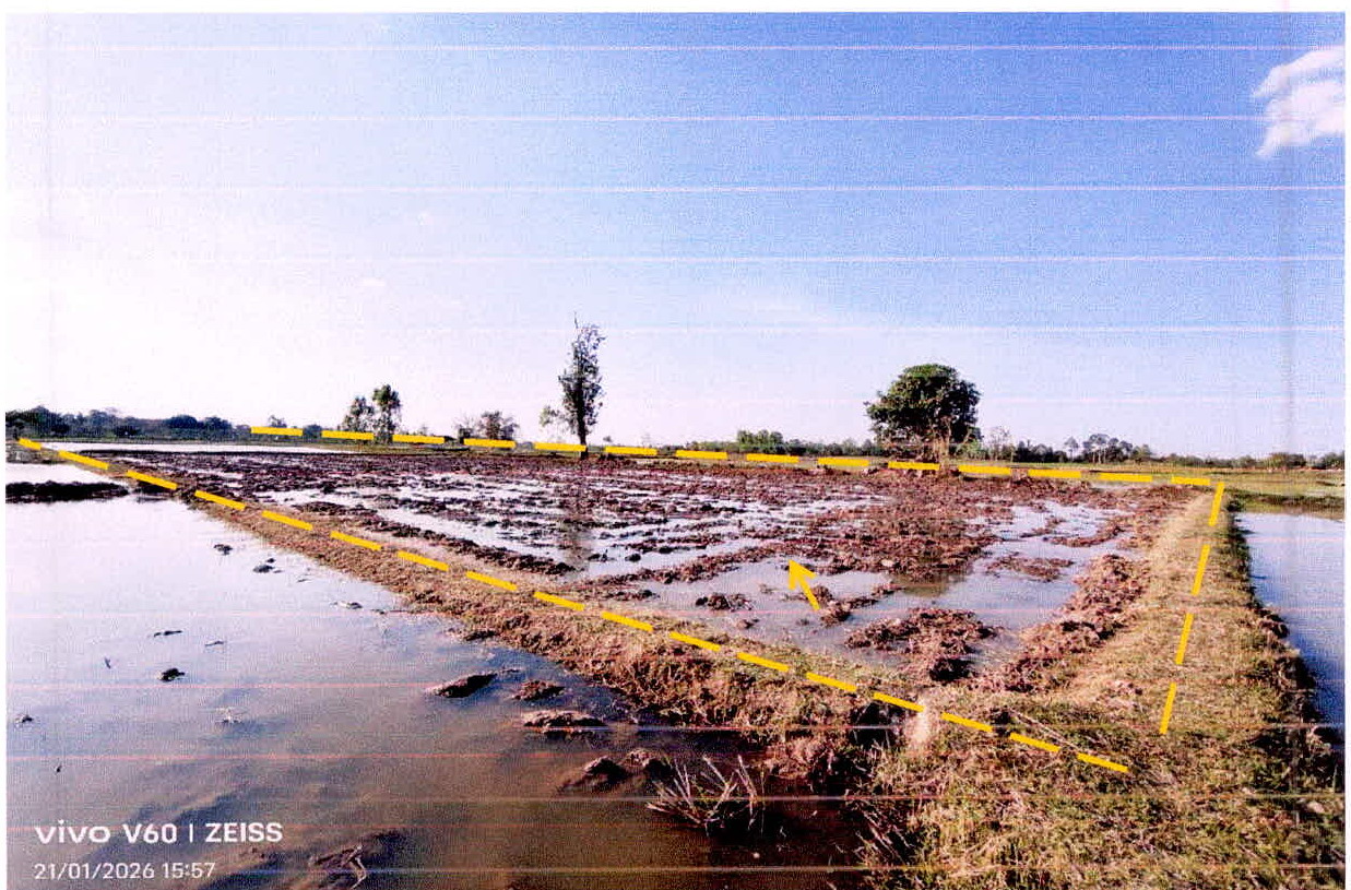 ขายทอดตลาด ที่ดินว่างเปล่า ต.ปรือใหญ่ อ.ขุขันธ์ จ.ศรีสะเกษ
