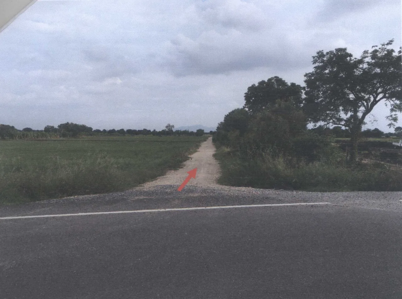 ขายทอดตลาด ที่ดินว่างเปล่า ต.เกาะแก้ว อ.โคกสำโรง จ.ลพบุรี