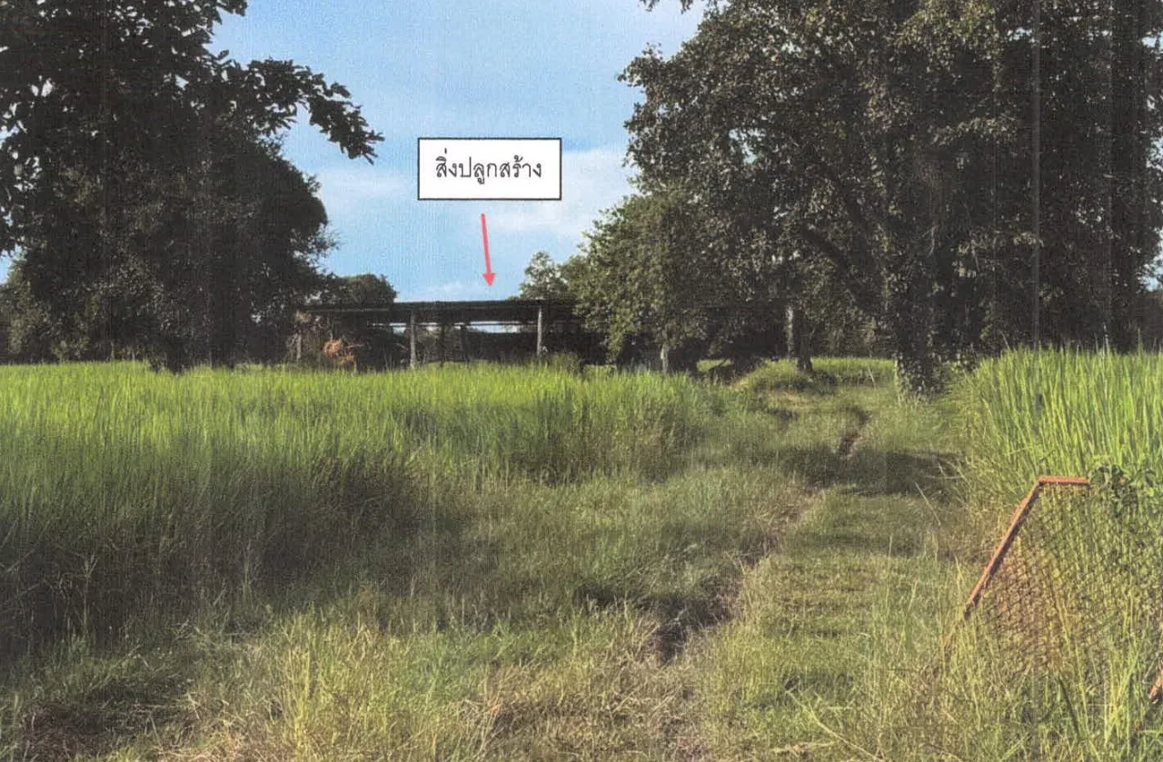 ขายทอดตลาด ที่ดินพร้อมสิ่งปลูกสร้าง ต.โพนค้อ อ.เมืองศรีสะเกษ จ.ศรีสะเกษ