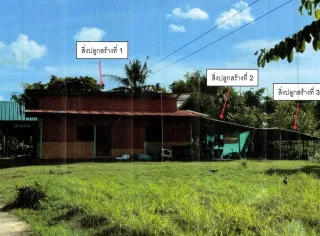 รูปทรัพย์ 2