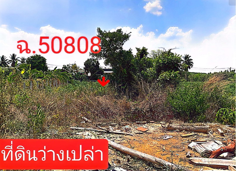 ขายทอดตลาด ที่ดินว่างเปล่า ต.สามขา อ.กุฉินารายณ์ จ.กาฬสินธุ์
