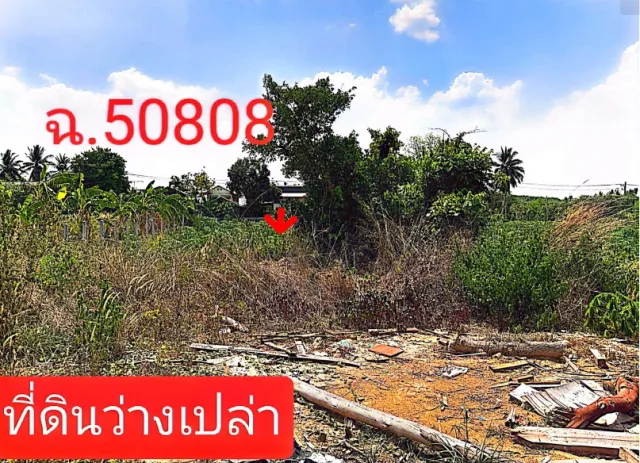 ขายทอดตลาด ที่ดินว่างเปล่า ต.สามขา อ.กุฉินารายณ์ จ.กาฬสินธุ์