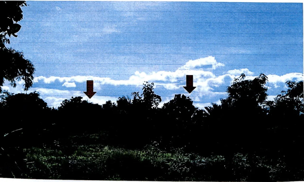 ขายทอดตลาด ที่ดินว่างเปล่า ต.แม่ปุ อ.แม่พริก จ.ลำปาง