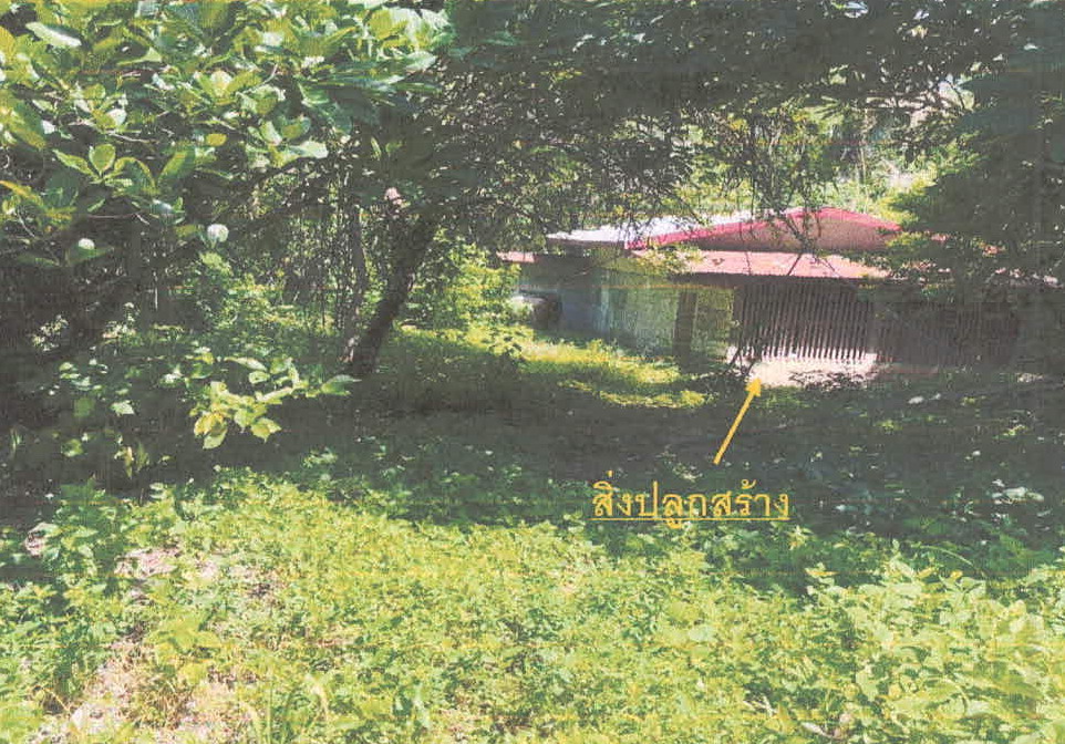 ขายทอดตลาด ที่ดินพร้อมสิ่งปลูกสร้าง ต.หนองอึ่ง อ.ราษีไศล จ.ศรีสะเกษ