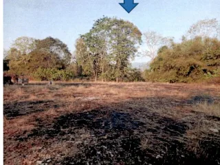 รูปทรัพย์ 2