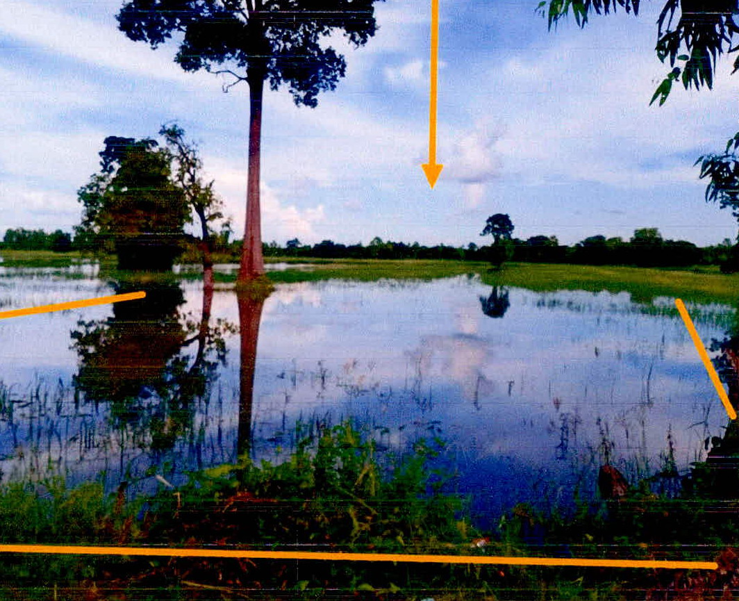 ขายทอดตลาด ที่ดินว่างเปล่า ต.โพธิ์ศรี อ.ปรางค์กู่ จ.ศรีสะเกษ