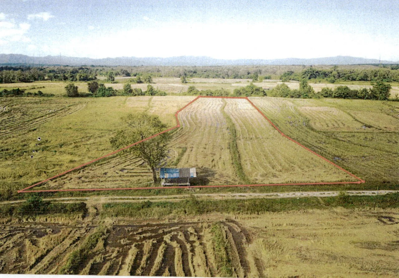 ขายทอดตลาด ที่ดินว่างเปล่า ต.บ้านแหง อ.งาว จ.ลำปาง