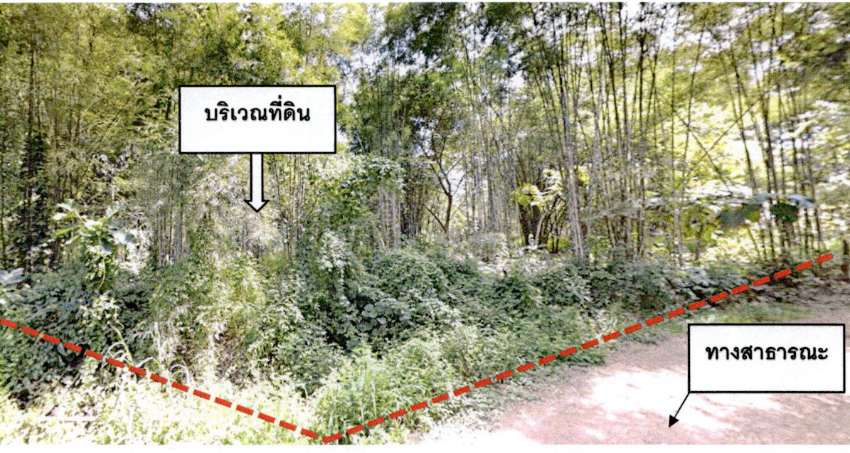 ขายทอดตลาด ที่ดินว่างเปล่า ต.แจ้ห่ม อ.แจ้ห่ม จ.ลำปาง
