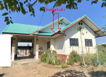 ขายทอดตลาด ที่ดินพร้อมสิ่งปลูกสร้าง ต.หัวหิน อ.ห้วยเม็ก จ.กาฬสินธุ์