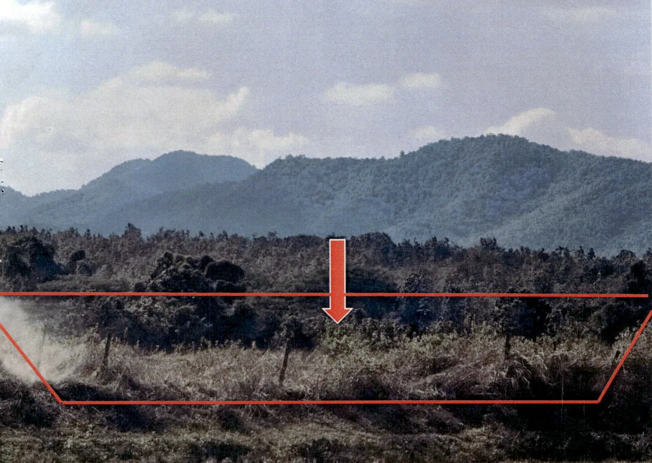ขายทอดตลาด ที่ดินว่างเปล่า จ.เชียงราย