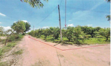 ขายทอดตลาด ที่ดินว่างเปล่า ต.หนองบัว อ.หนองกุงศรี จ.กาฬสินธุ์