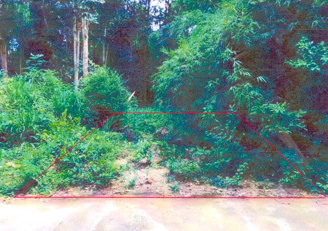 ขายทอดตลาด ที่ดินว่างเปล่า ต.หนองแก้ว อ.กันทรารมย์ จ.ศรีสะเกษ