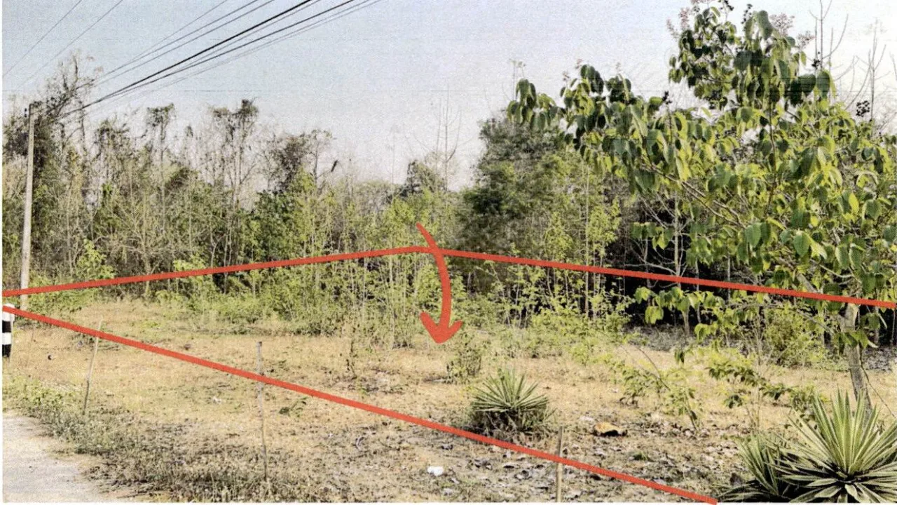 ขายทอดตลาด ที่ดินว่างเปล่า ต.บ้านเอื้อม อ.เมืองลำปาง จ.ลำปาง