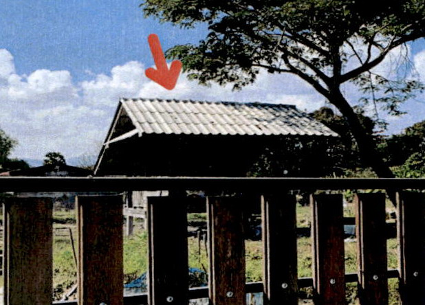 ขายทอดตลาด ที่ดินพร้อมสิ่งปลูกสร้าง ต.แม่สัน อ.ห้างฉัตร จ.ลำปาง