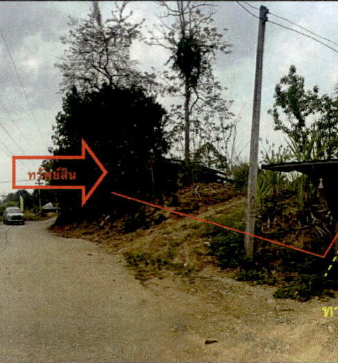 ขายทอดตลาด ที่ดินว่างเปล่า ต.วังเหนือ อ.วังเหนือ จ.ลำปาง