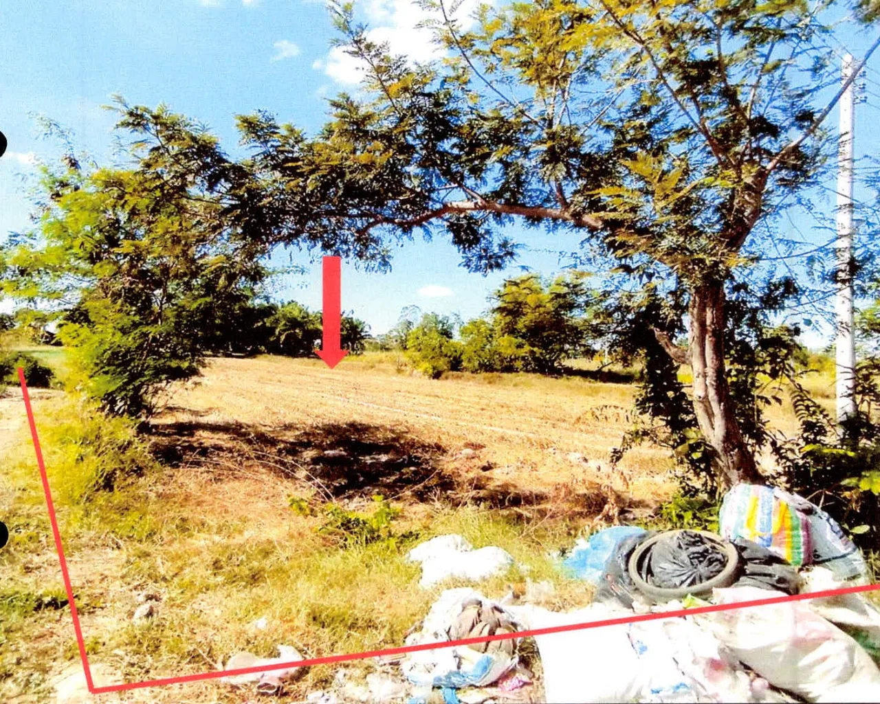 ขายทอดตลาด ที่ดินว่างเปล่า ต.บุสูง อ.วังหิน จ.ศรีสะเกษ