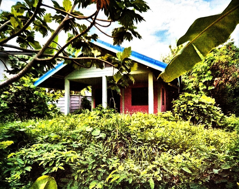 ขายทอดตลาด ที่ดินพร้อมสิ่งปลูกสร้าง ต.เพ อ.เมืองระยอง จ.ระยอง