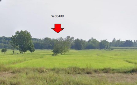 ขายทอดตลาด ที่ดินว่างเปล่า ต.เว่อ อ.ยางตลาด จ.กาฬสินธุ์