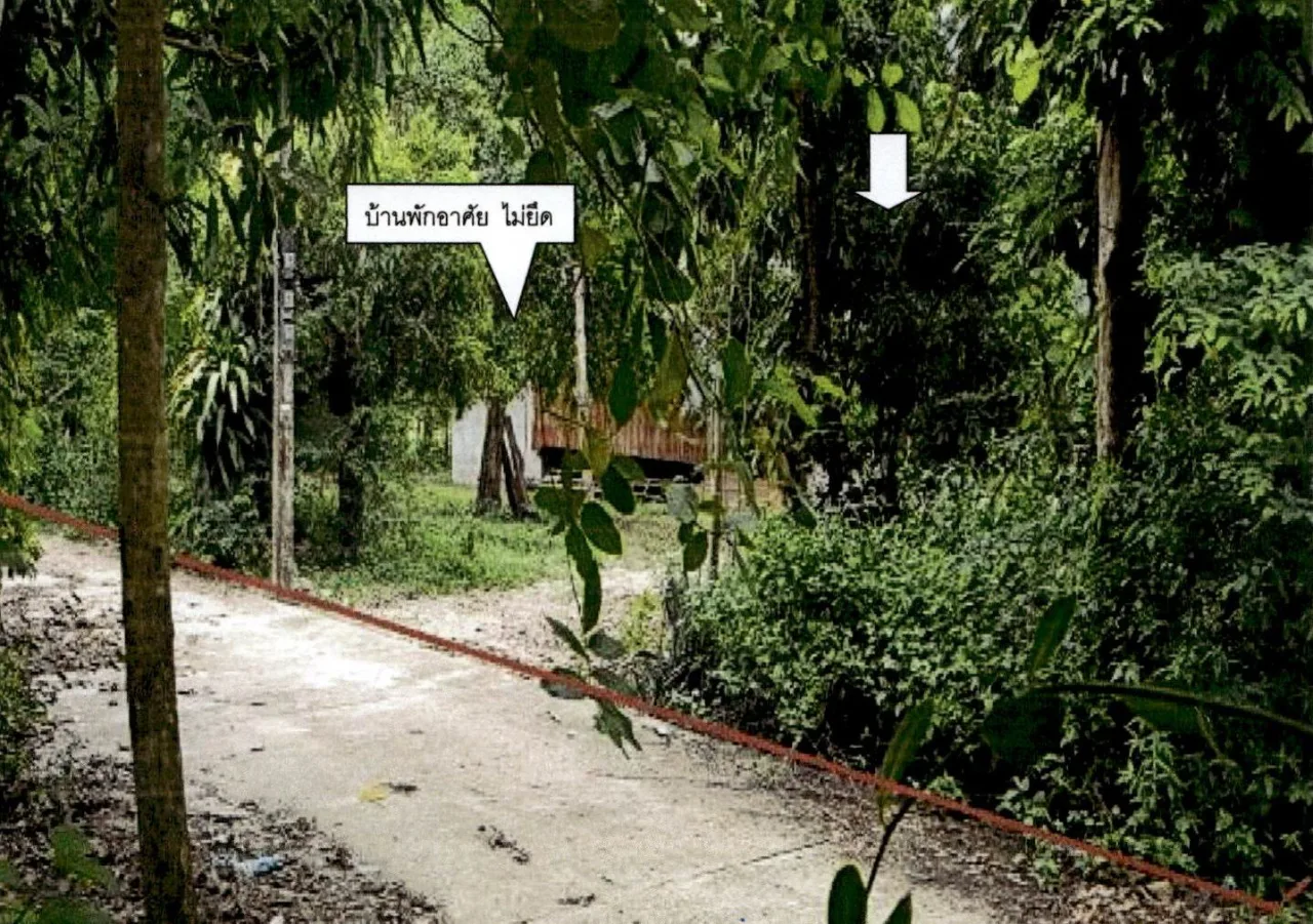ขายทอดตลาด ที่ดินว่างเปล่า ต.แม่สัน อ.ห้างฉัตร จ.ลำปาง