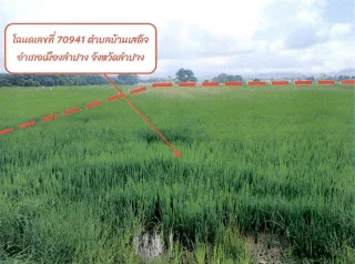 รูปทรัพย์ 2