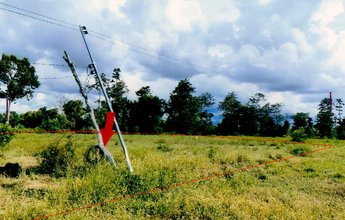 ขายทอดตลาด ที่ดินว่างเปล่า ต.กุดเมืองฮาม อ.ยางชุมน้อย จ.ศรีสะเกษ
