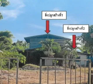 รูปทรัพย์ 2