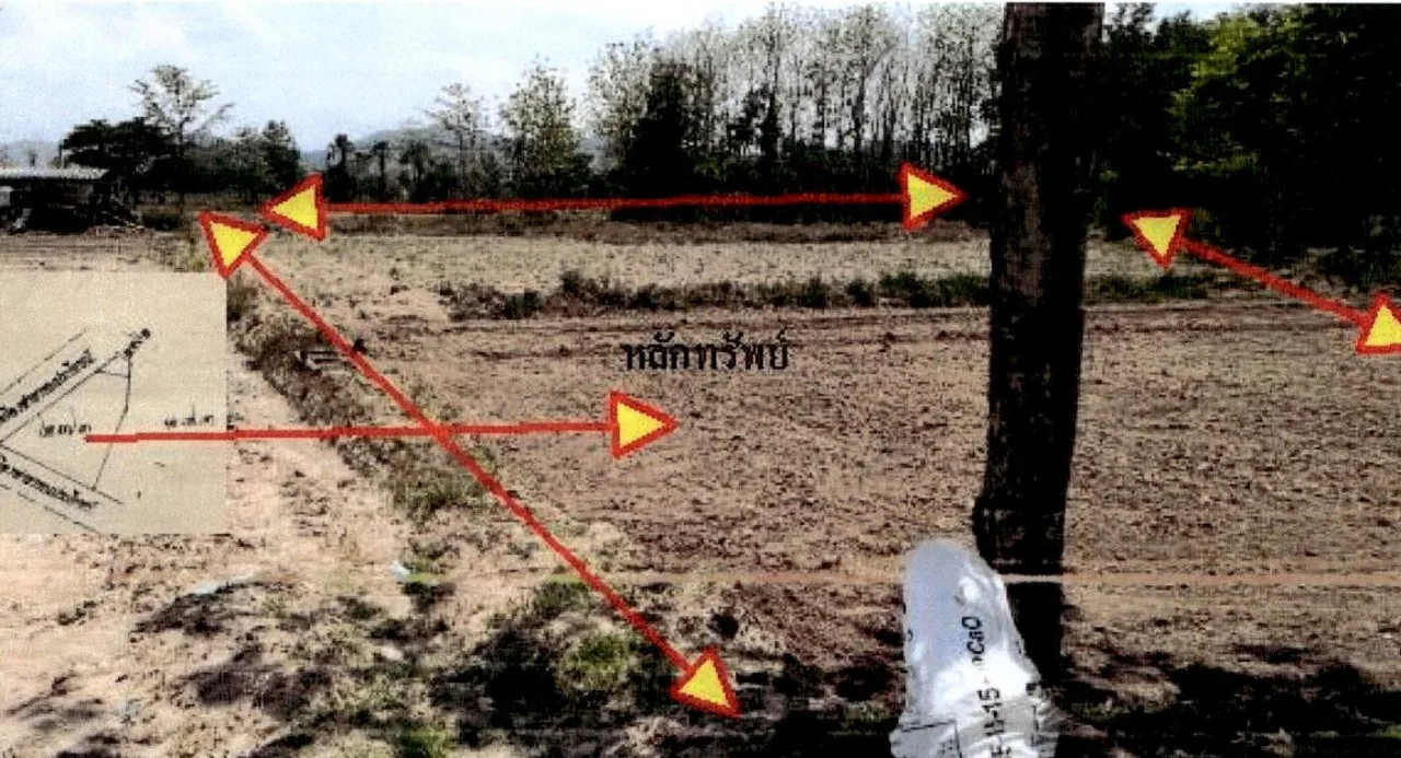 ขายทอดตลาด ที่ดินว่างเปล่า ต.ป่าตัน อ.แม่ทะ จ.ลำปาง