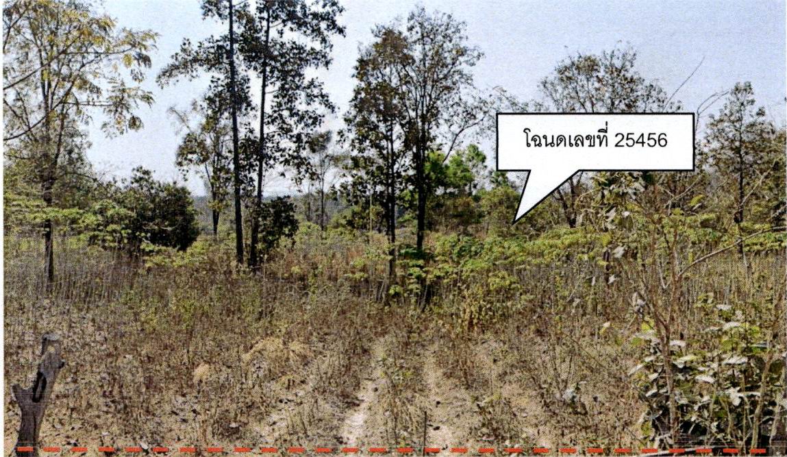ขายทอดตลาด ที่ดินว่างเปล่า ต.บ้านสา อ.แจ้ห่ม จ.ลำปาง
