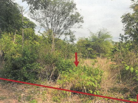 ขายทอดตลาด ที่ดินว่างเปล่า ต.ฆ้องชัยพัฒนา อ.ฆ้องชัย จ.กาฬสินธุ์