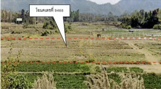 รูปทรัพย์ 5