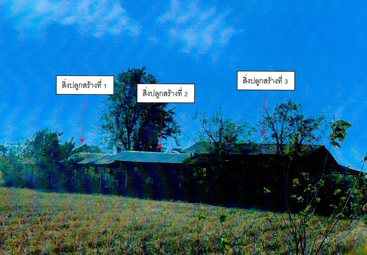 ขายทอดตลาด ที่ดินพร้อมสิ่งปลูกสร้าง ต.โพนข่า อ.เมืองศรีสะเกษ จ.ศรีสะเกษ