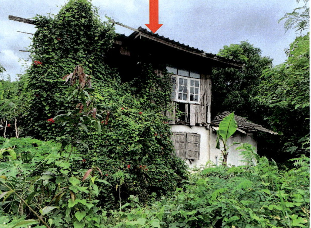 ขายทอดตลาด ที่ดินพร้อมสิ่งปลูกสร้าง ต.ใหม่พัฒนา อ.เกาะคา จ.ลำปาง