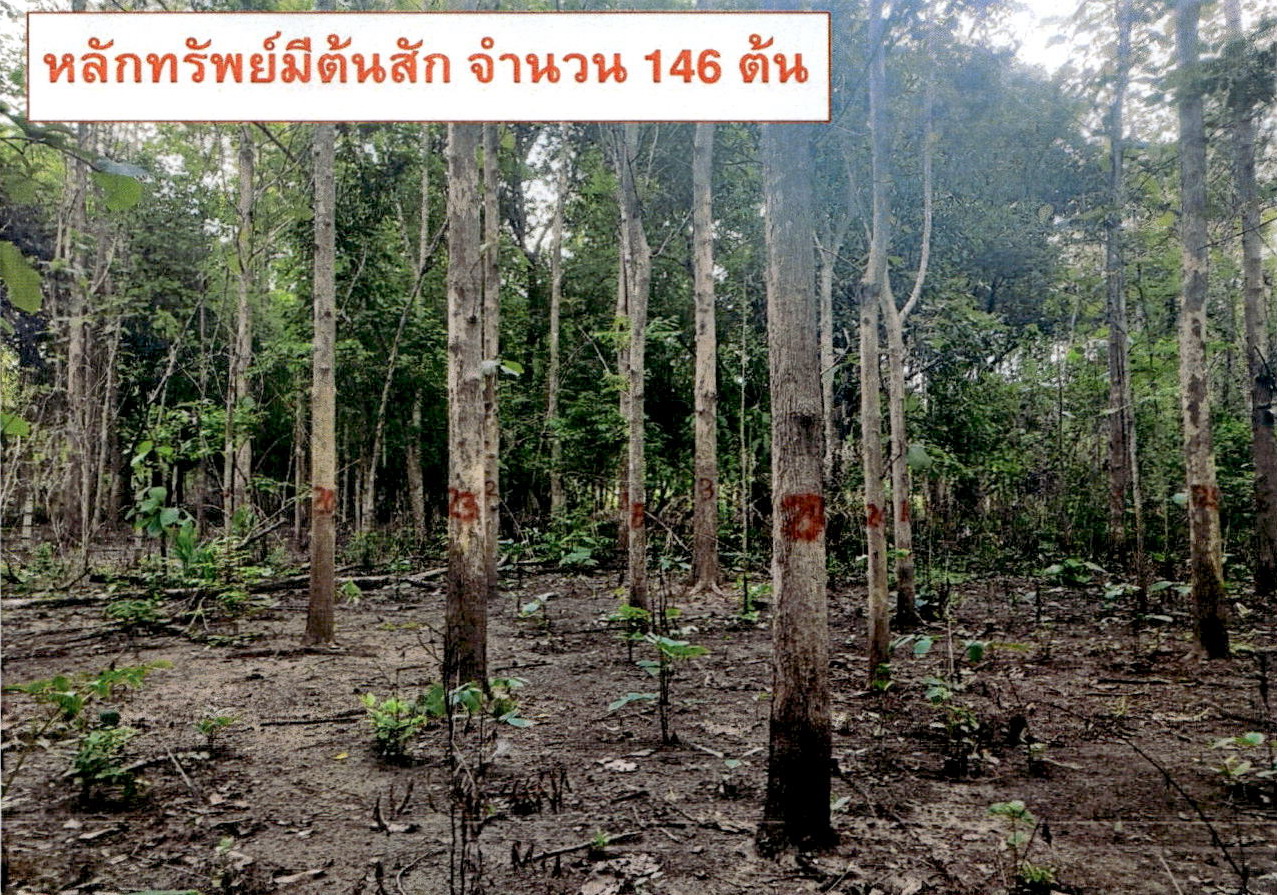 ขายทอดตลาด ที่ดินว่างเปล่า ต.แจ้ห่ม อ.แจ้ห่ม จ.ลำปาง
