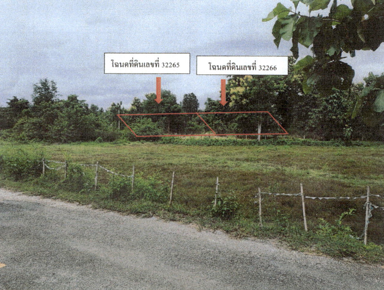 ขายทอดตลาด ที่ดินว่างเปล่า ต.ล้อมแรด อ.เถิน จ.ลำปาง