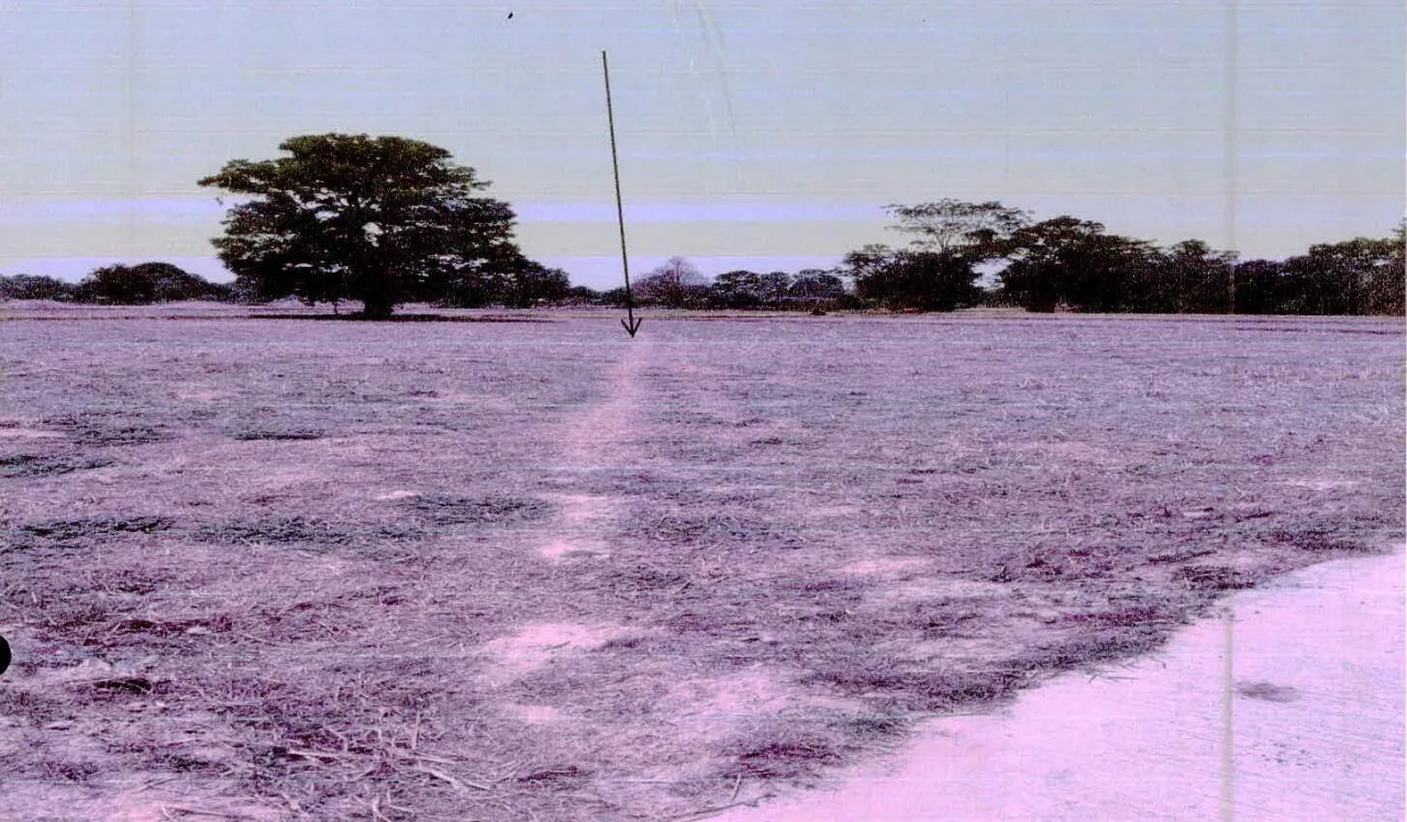ขายทอดตลาด ที่ดินว่างเปล่า ต.หนองห้าง อ.อุทุมพรพิสัย จ.ศรีสะเกษ
