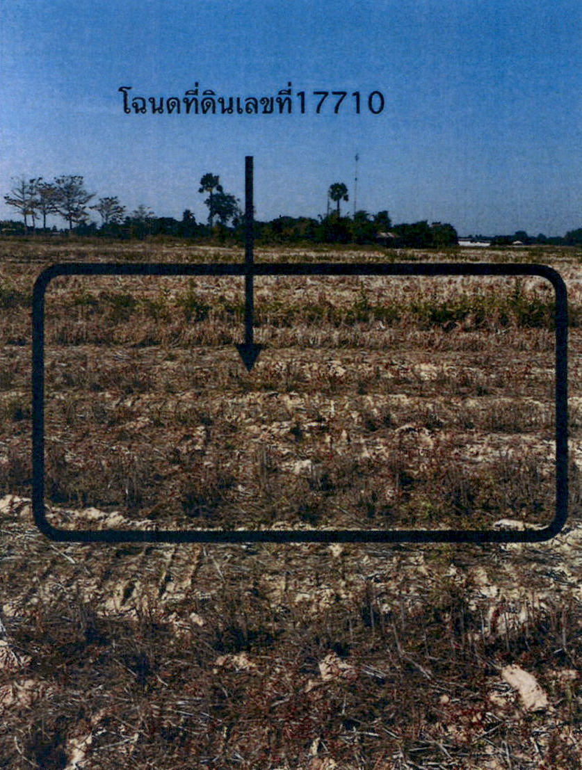 ขายทอดตลาด ที่ดินว่างเปล่า จ.ปัตตานี