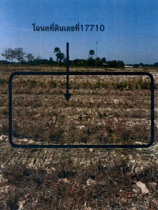 รูปทรัพย์ 1