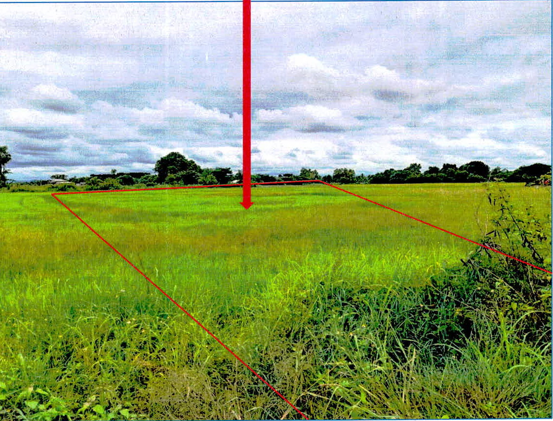 ขายทอดตลาด ที่ดินว่างเปล่า ต.ปงแสนทอง อ.เมืองลำปาง จ.ลำปาง
