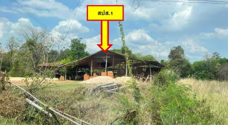 ขายทอดตลาด ที่ดินพร้อมสิ่งปลูกสร้าง ต.หนองแวง อ.สมเด็จ จ.กาฬสินธุ์