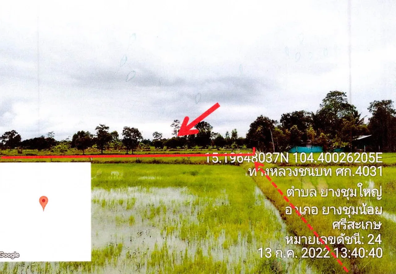 ขายทอดตลาด ที่ดินว่างเปล่า ต.ลิ้นฟ้า อ.ยางชุมน้อย จ.ศรีสะเกษ