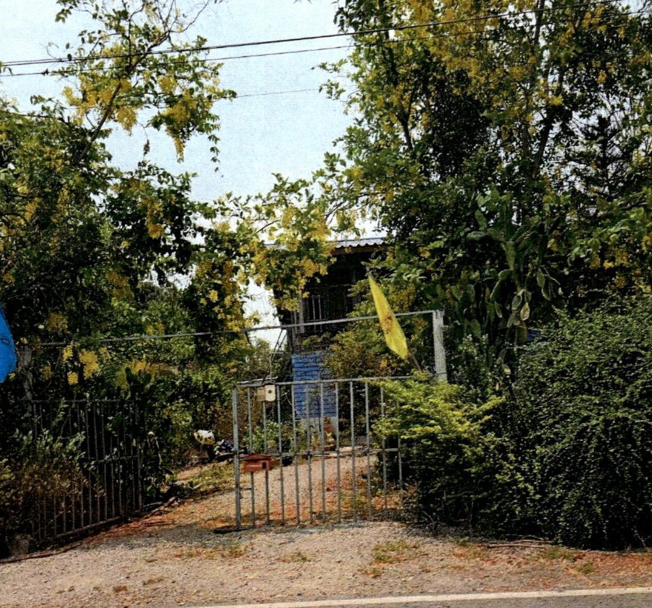 ขายทอดตลาด ที่ดินพร้อมสิ่งปลูกสร้าง ต.บางลี่ อ.ท่าวุ้ง(โพหวี) จ.ลพบุรี