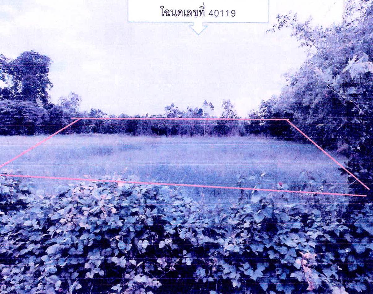 ขายทอดตลาด ที่ดินว่างเปล่า ต.จาน อ.กันทรารมย์ จ.ศรีสะเกษ